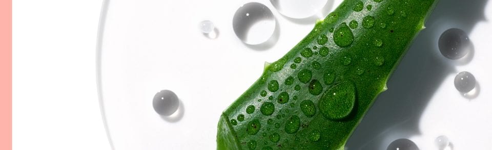 Replenish thirsty skin.